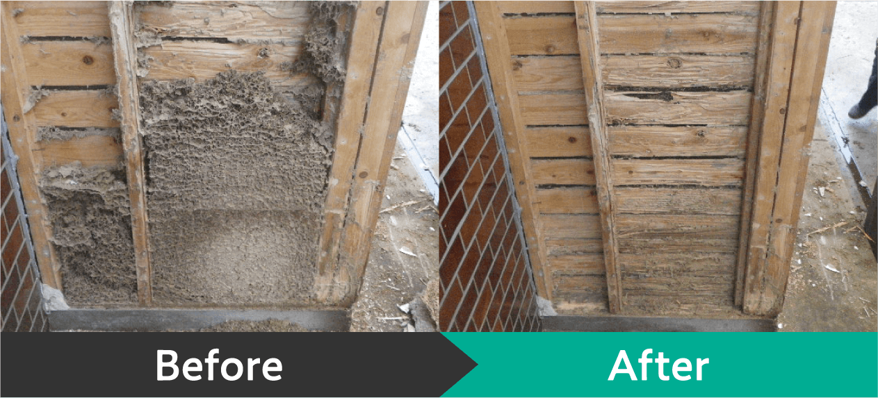 Before After