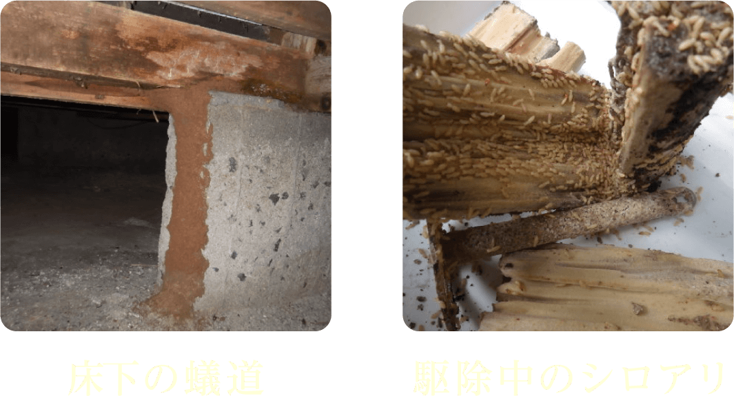 このような環境や症状はありませんか?